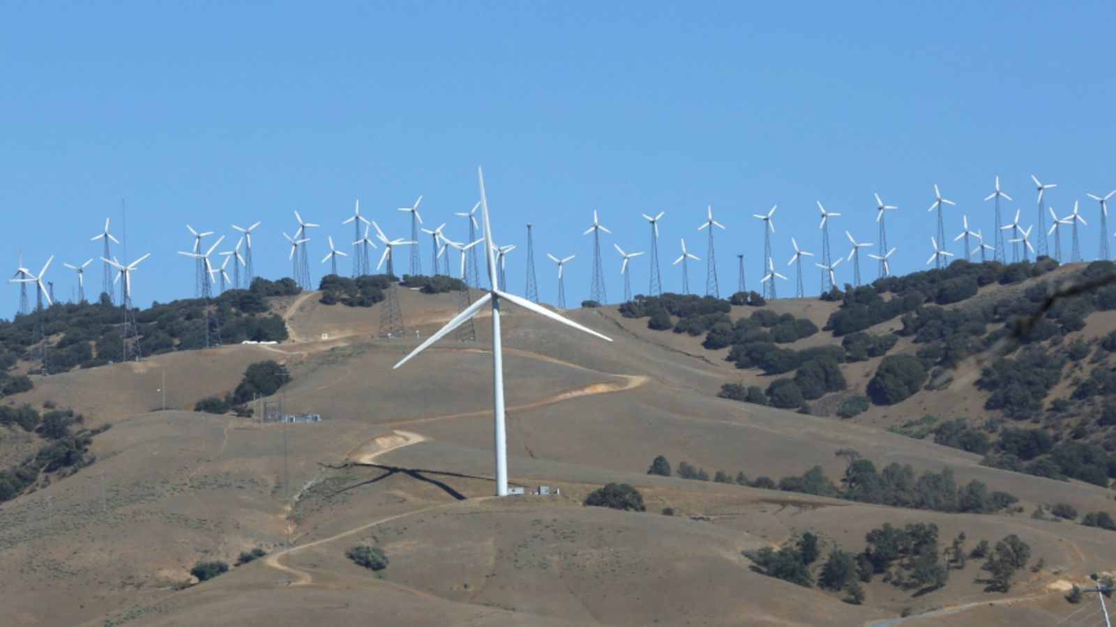 L'energia eòlica, juntament amb la hidràulica, van suposar més de la meitat de la producció al mes de març