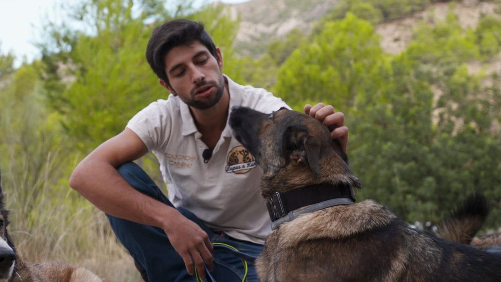 08.11.2025 | Fervor animal