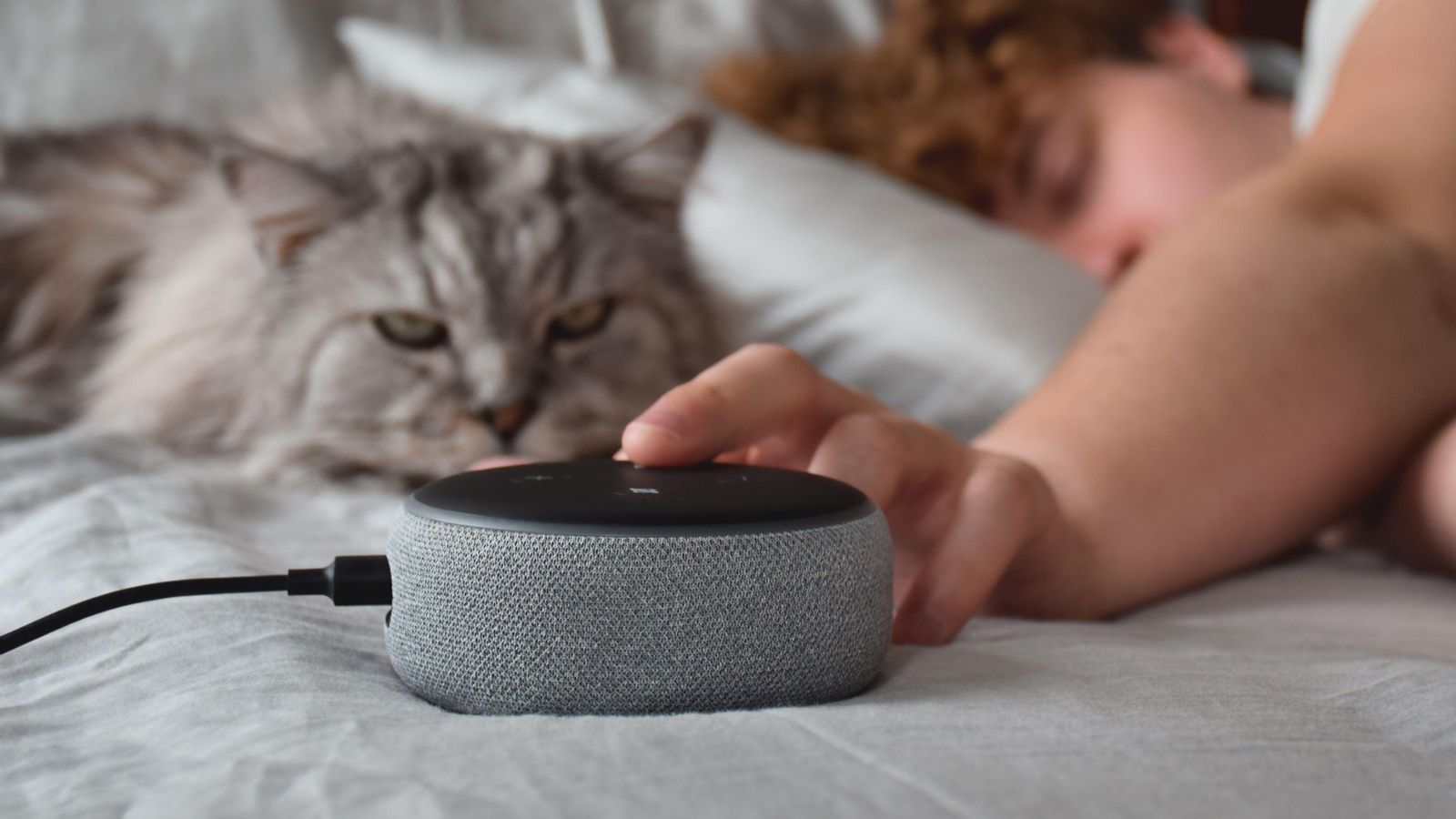 Interaccions amb Alexa i altres assistents virtuals