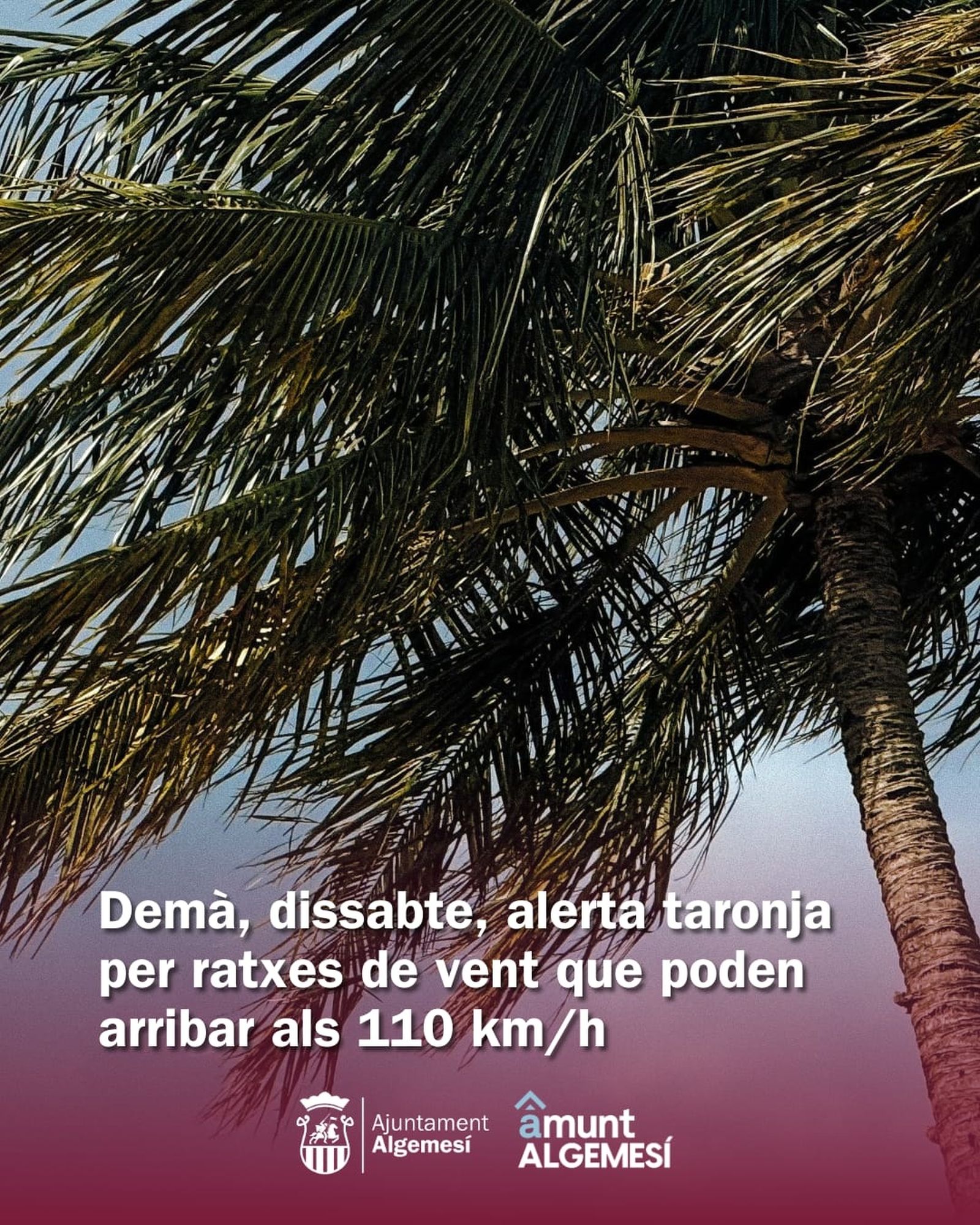 Avís de l'Ajuntament d'Algemesí