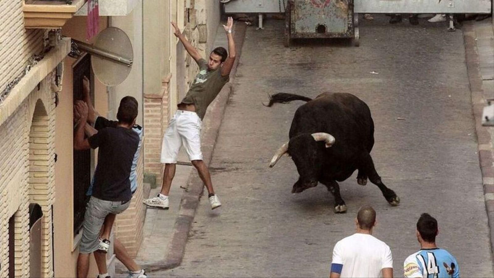 Imatge d'arxiu d'una festa taurina de bous al carrer a Puçol
