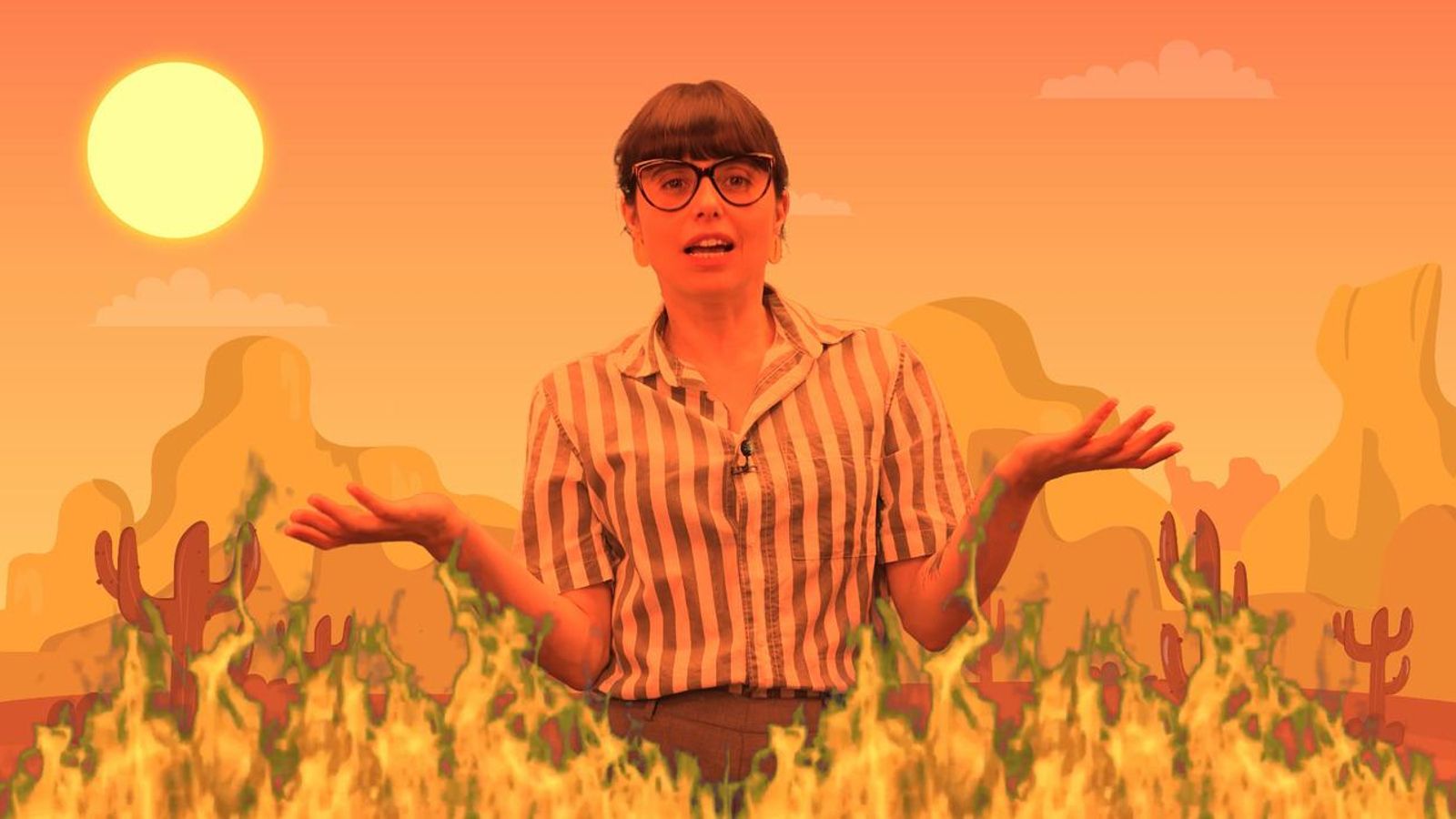 Vocabulari de l’oratge