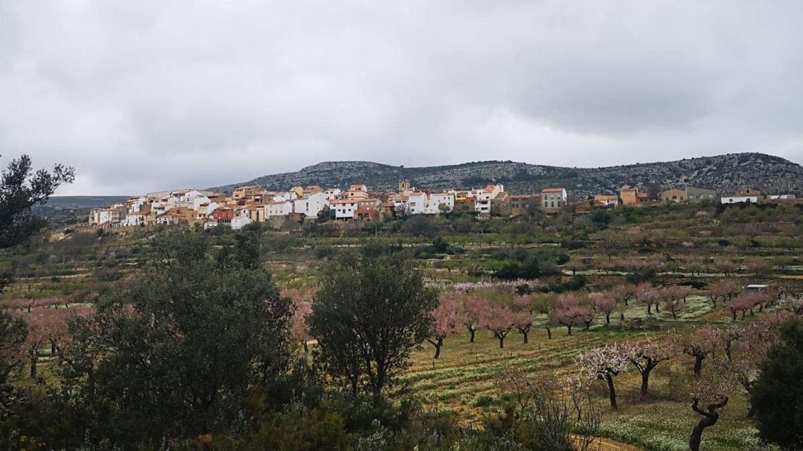 Vilar de Canes, amb poc més de 170 habitants, és un dels municipis que presenten major incidència del virus en les últimes dues setmanes