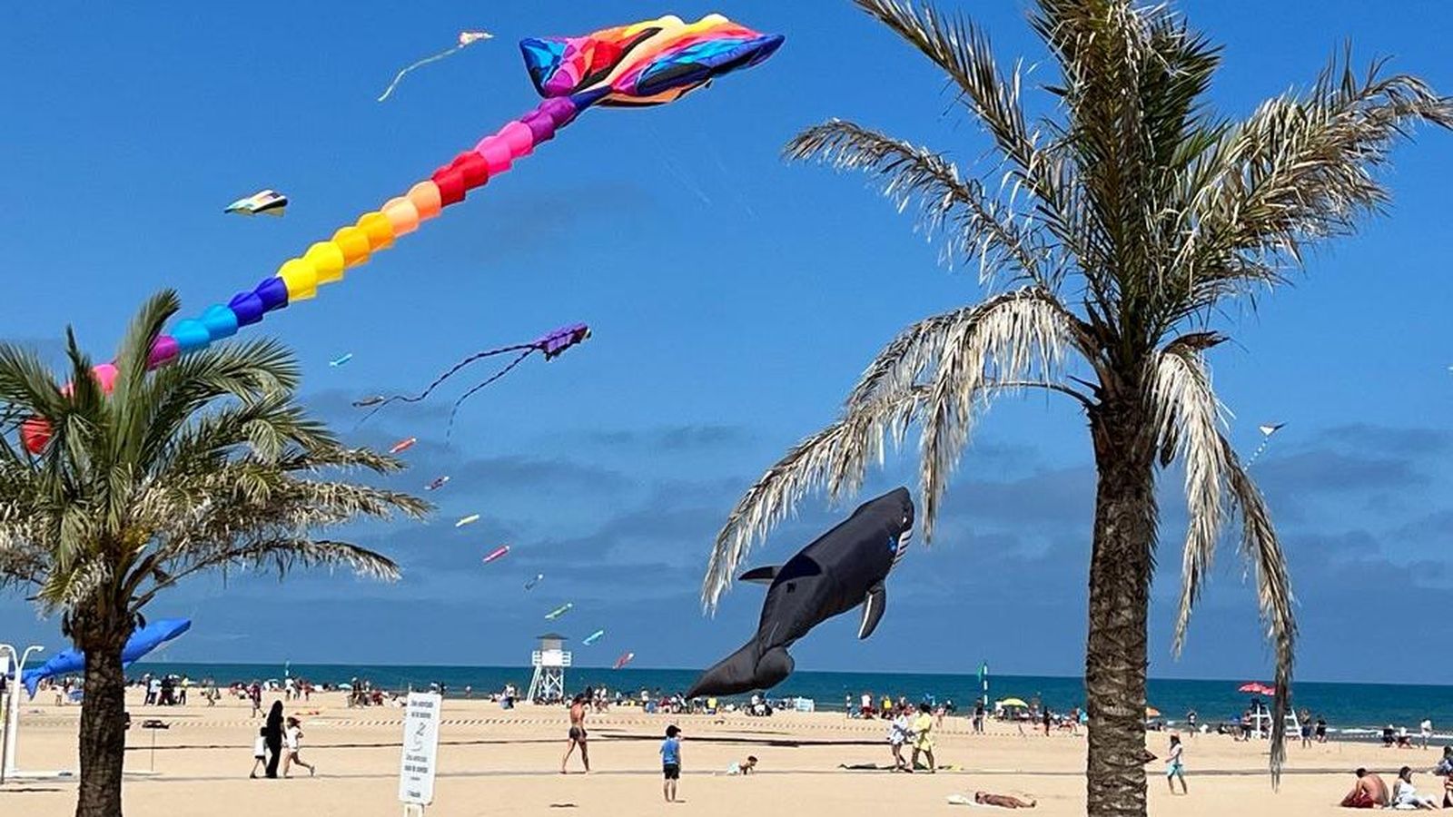Torna el Festival de Milotxes de València a la platja del Cabanyal