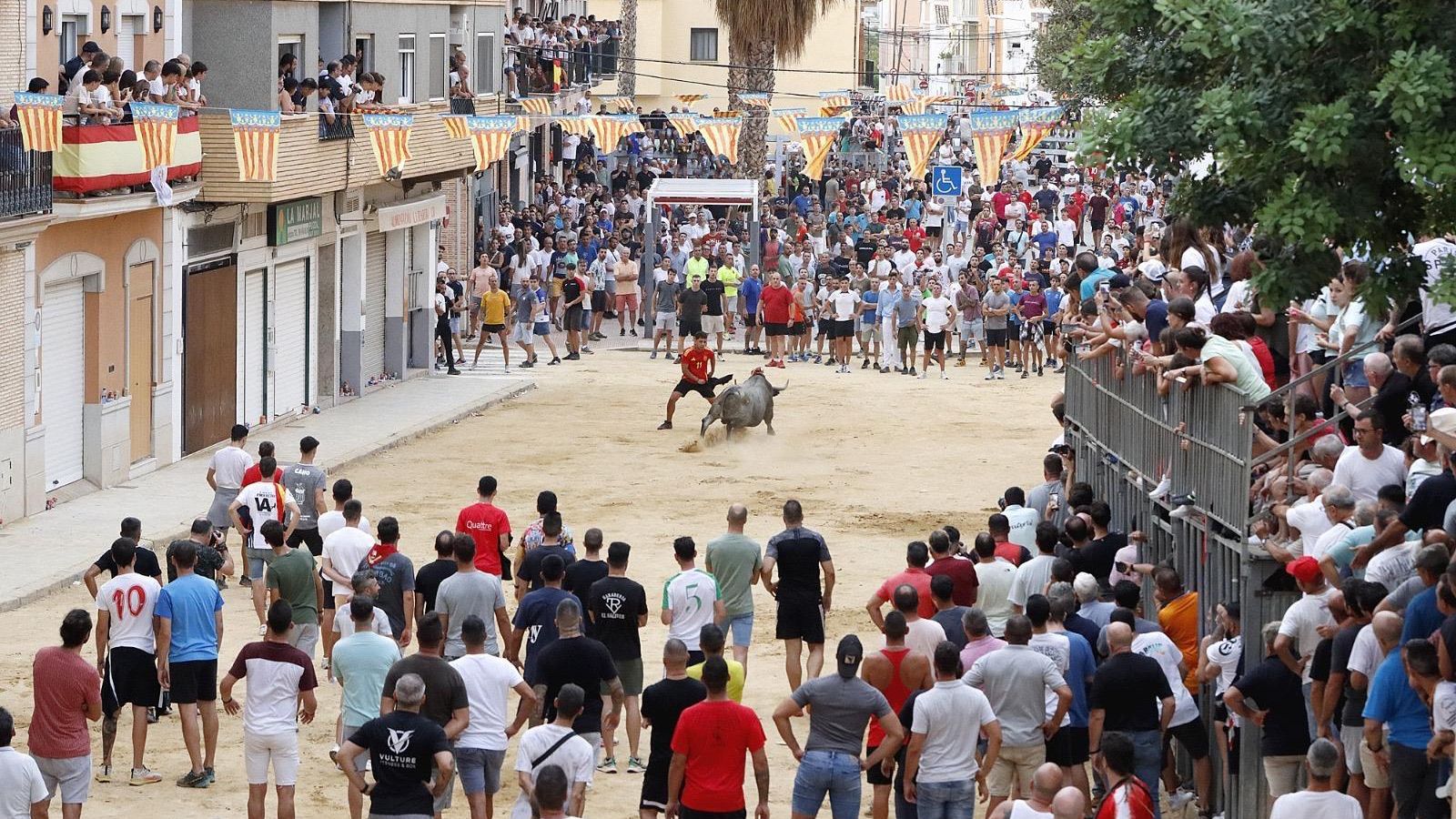 La desencaixonada de Puçol és una de les festes taurines del 7 de setembre se celebra el dia gran de Puçol