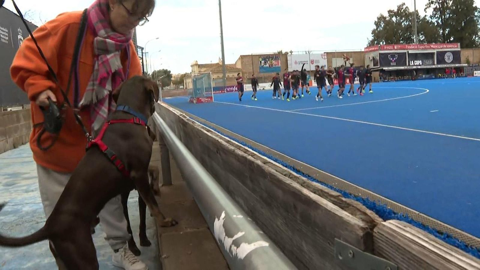Hoquei i mascotes rescatades de la dana
