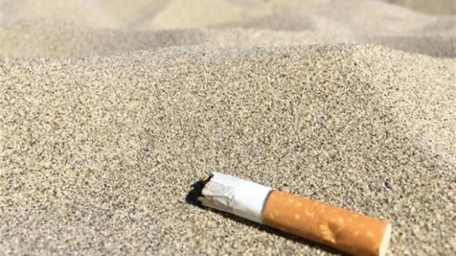 3 de cada 4 cigarrets consumits al món acaben en la naturalesa