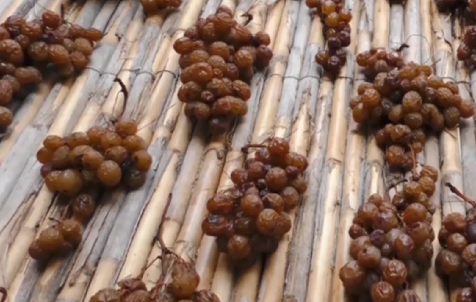 Raïm ja escaldat que prompte serà pansa