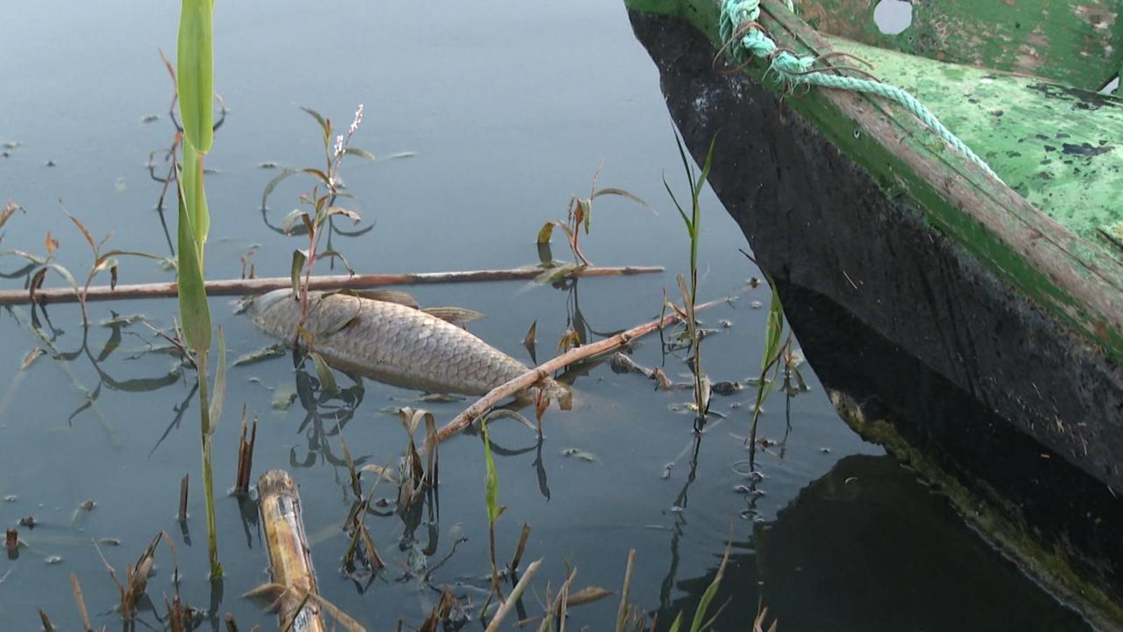 L'Albufera és un clar exemple dels efectes devastadors per la pujada de temperatures