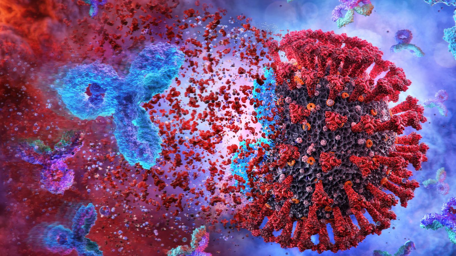 Anticossos que ataquen el virus de la Covid-19