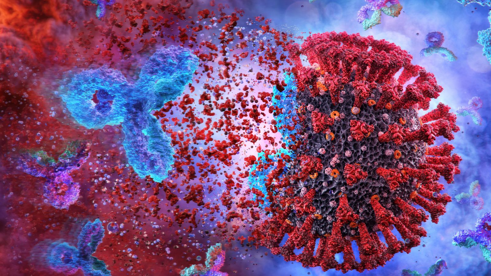 Anticossos que ataquen el virus de la Covid-19