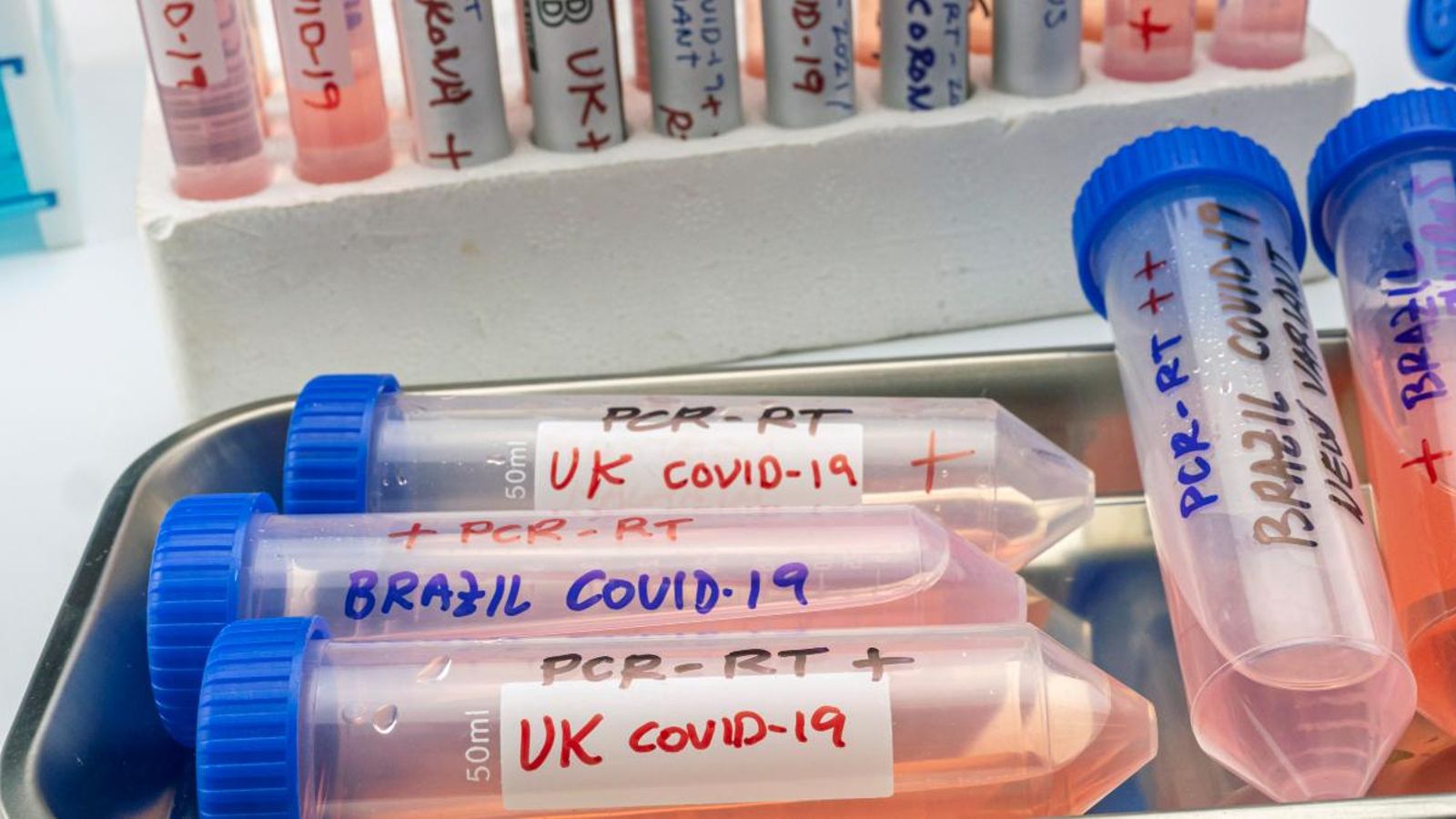 El Ministeri de Sanitat vigila 10 variants de coronavirus i detecta els 6 primers casos de la californiana