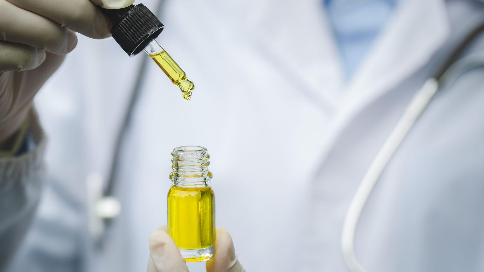 Oli de cannabis per usar en les fórmules magistrals tipificades de preparats estandarditzats