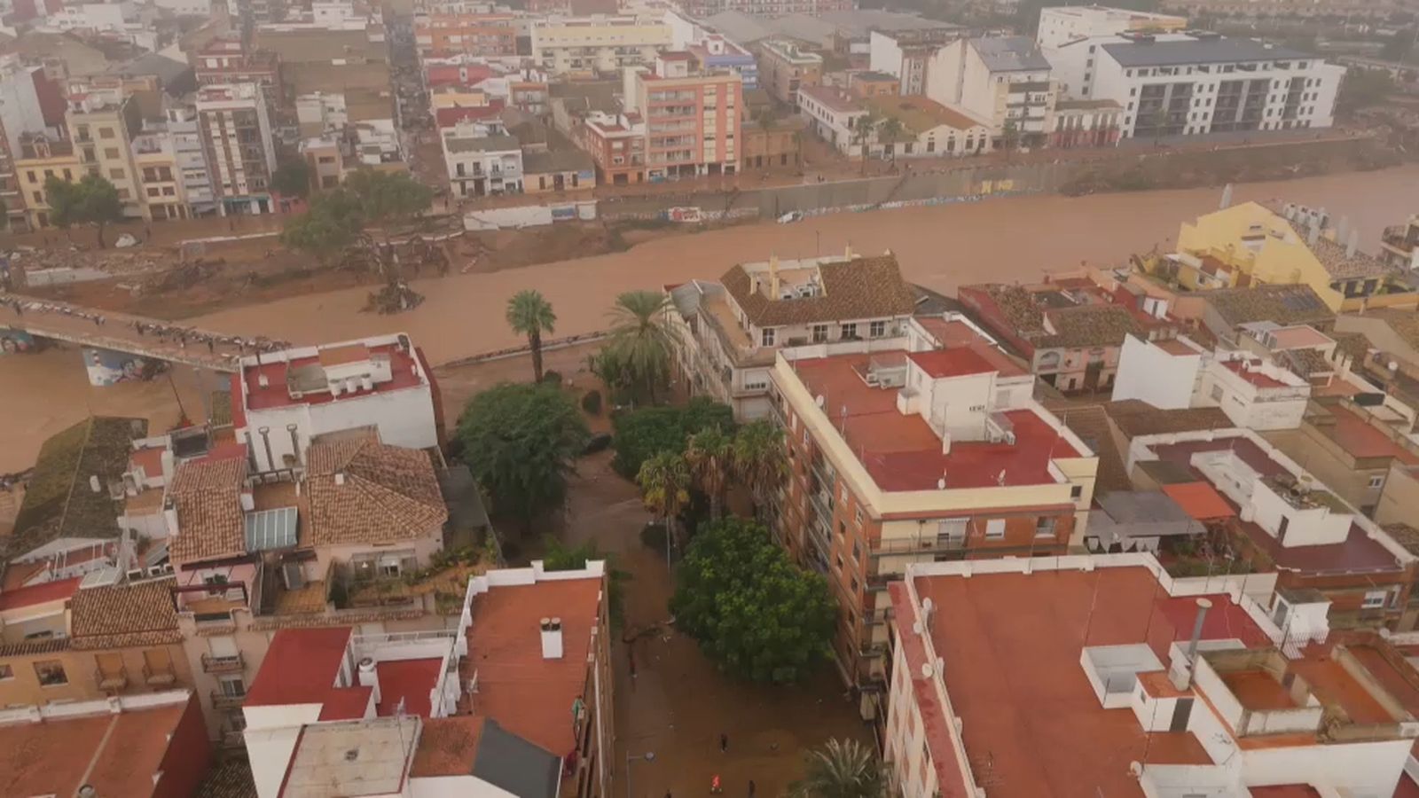 Els consells dels biòlegs després de la dana