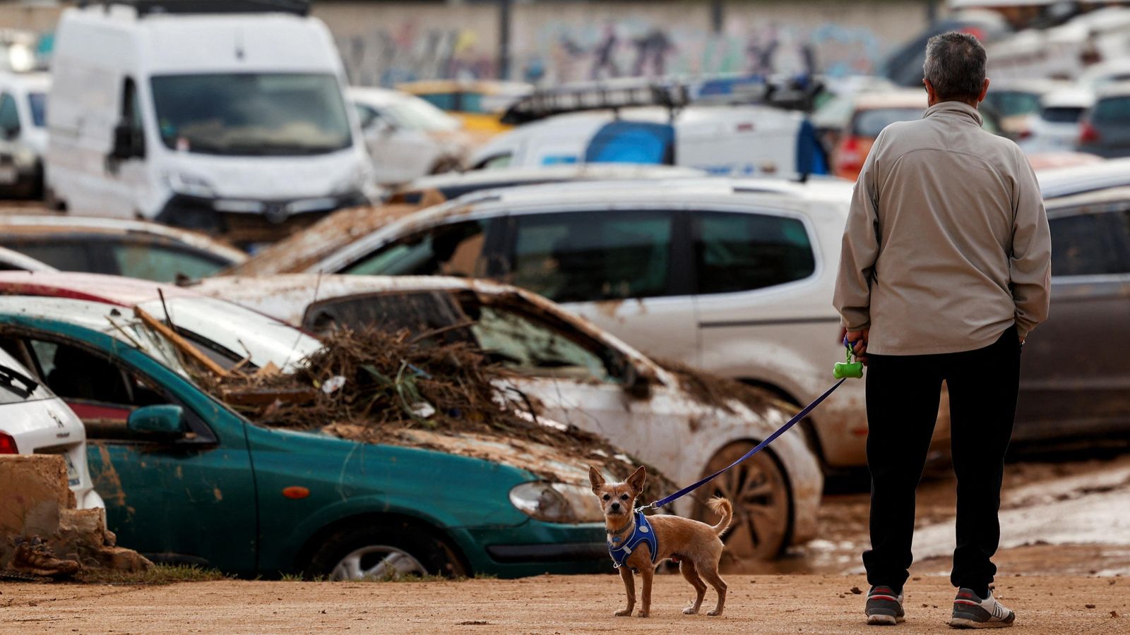 Un home i el seu gos al barri de la Torre, després de la DANA de València