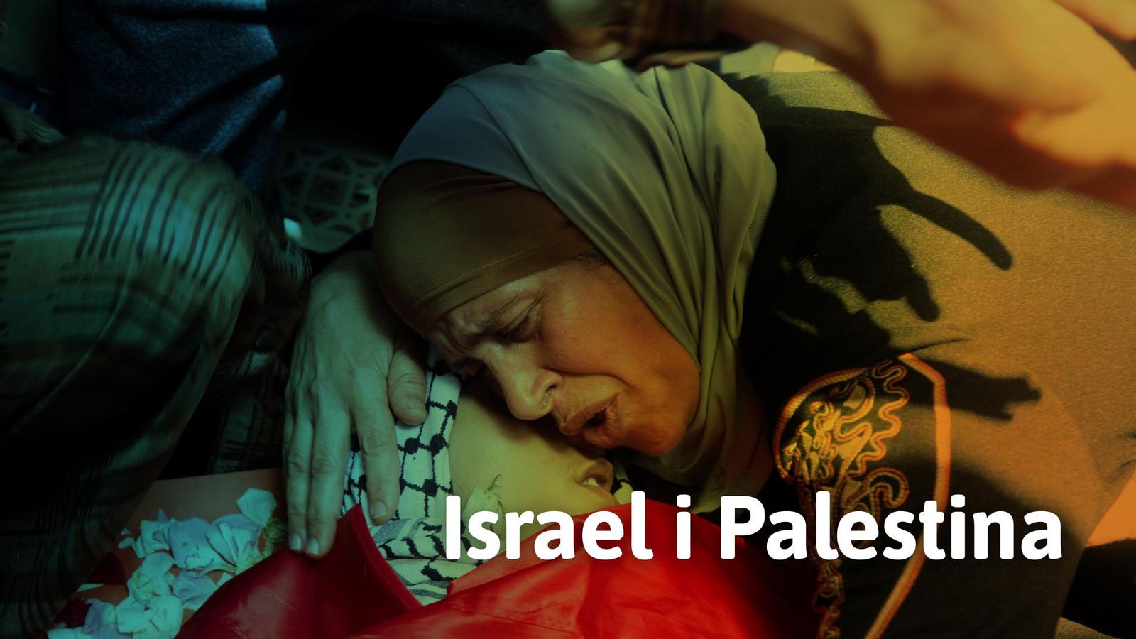 Israel i Palestina: l'anàlisi de Vicent Montagud