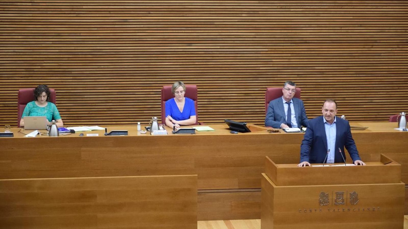 El vicepresident segon, Rubén Martínez Dalmau, durant la seua intervenció a les Corts