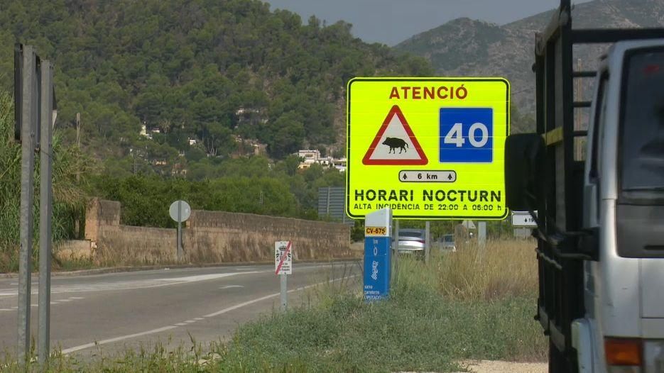 Un dels senyals que recomana reduir la velocitat per la carretera que puja a Barx per la presència de senglars