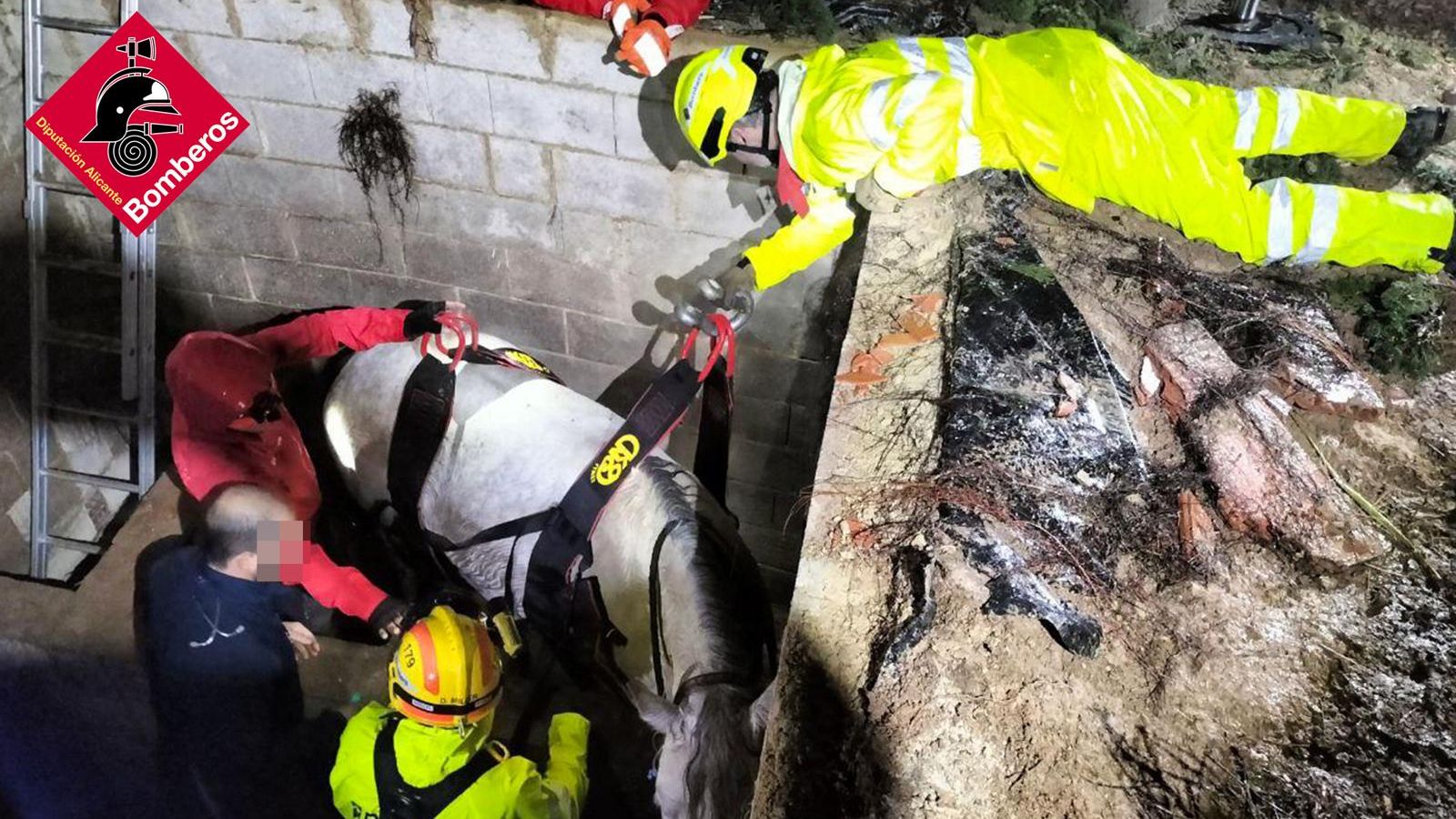 Moment del rescat de l'egua, a Xixona