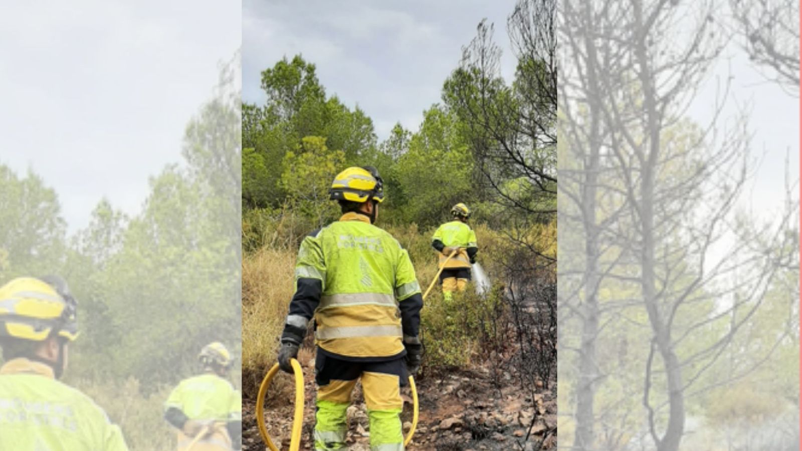Dos bombers forestals de la Generalitat treballen en un incendi esta vesprada
