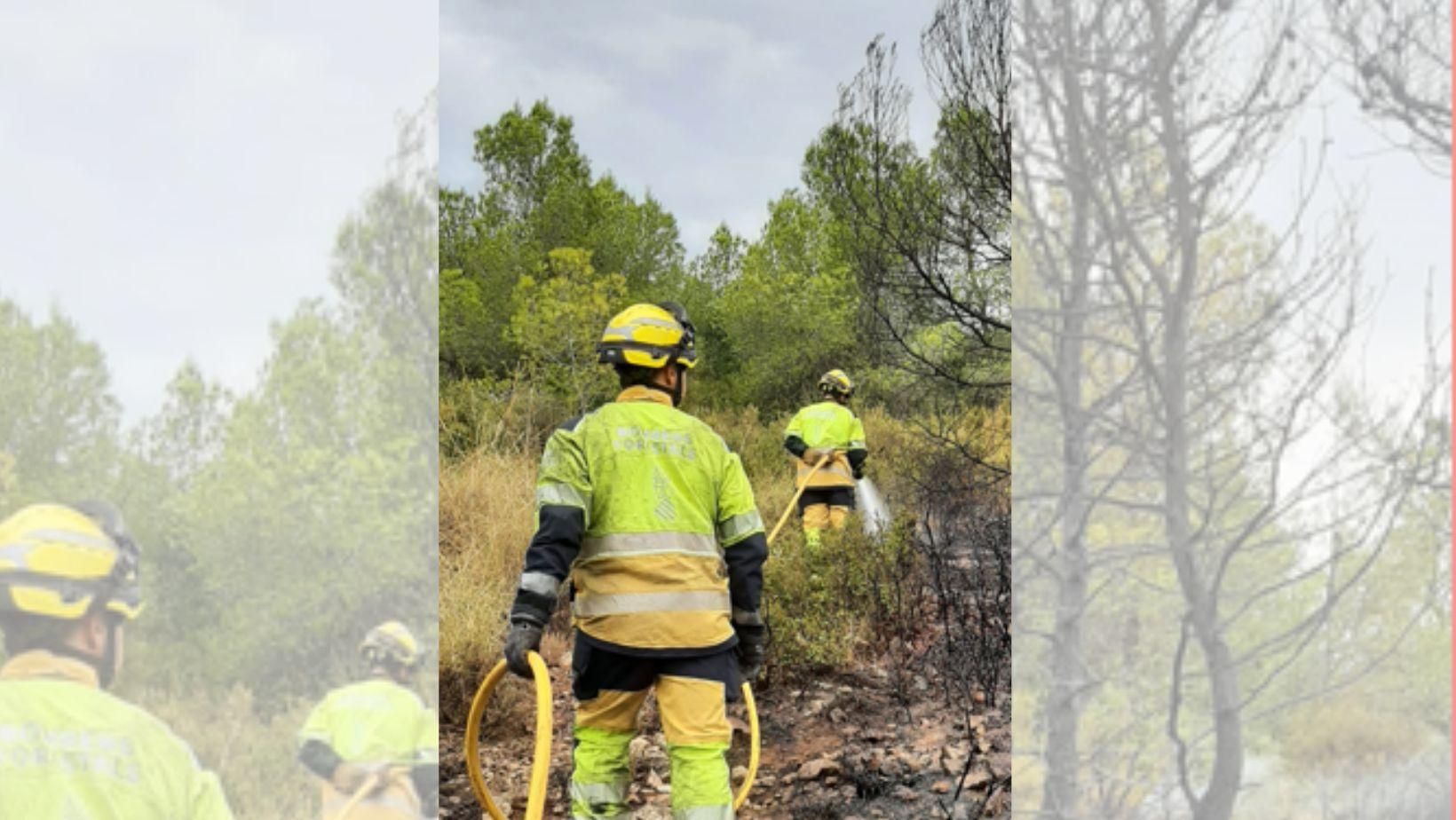 Dos bombers forestals de la Generalitat treballen en un incendi esta vesprada