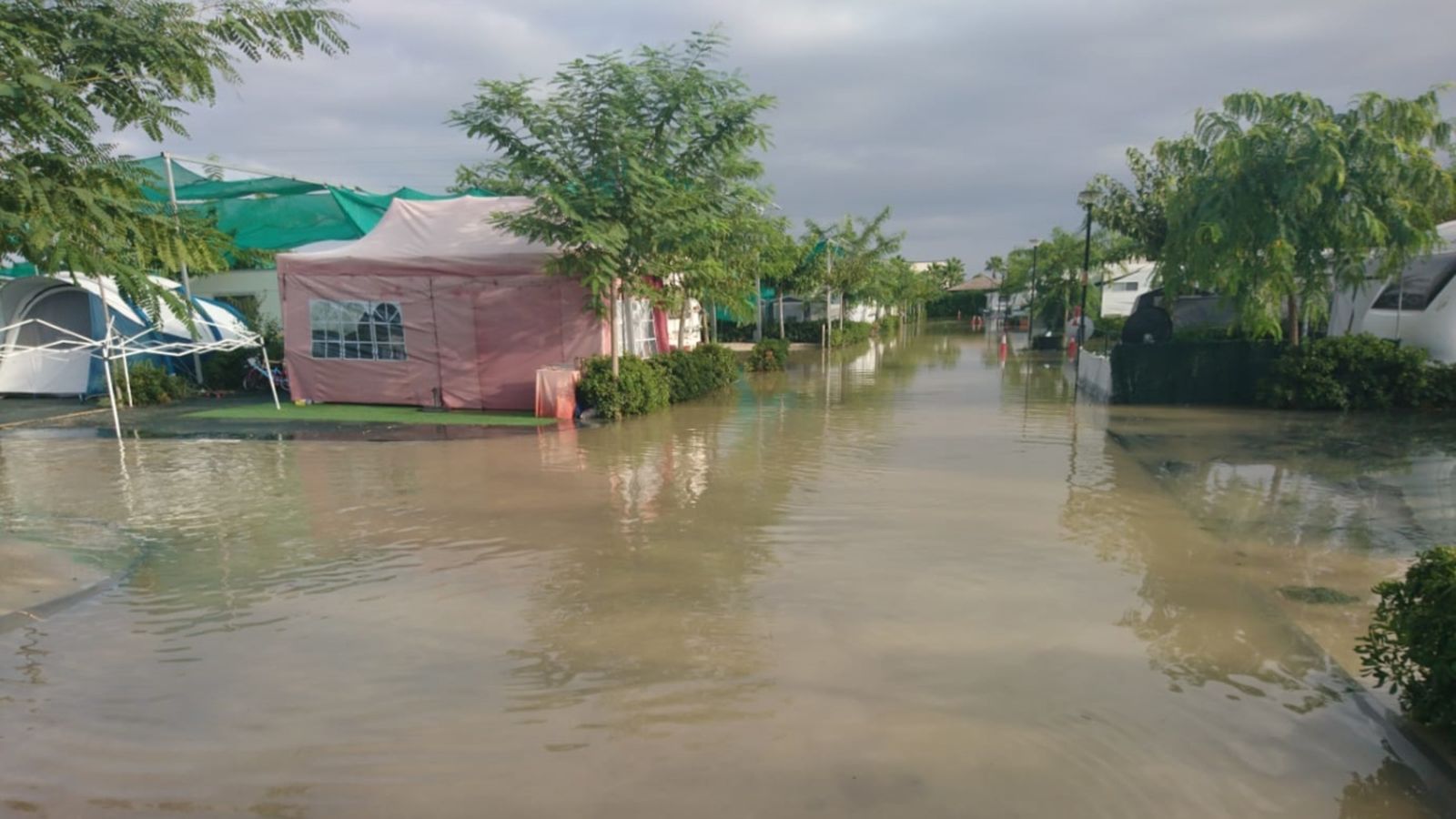 El càmping de Crevillent, negat d’aigua