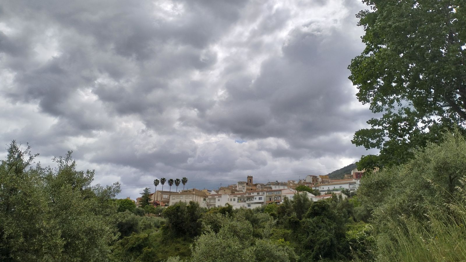 BALDOMERO FERRE, Agres, el Comtat