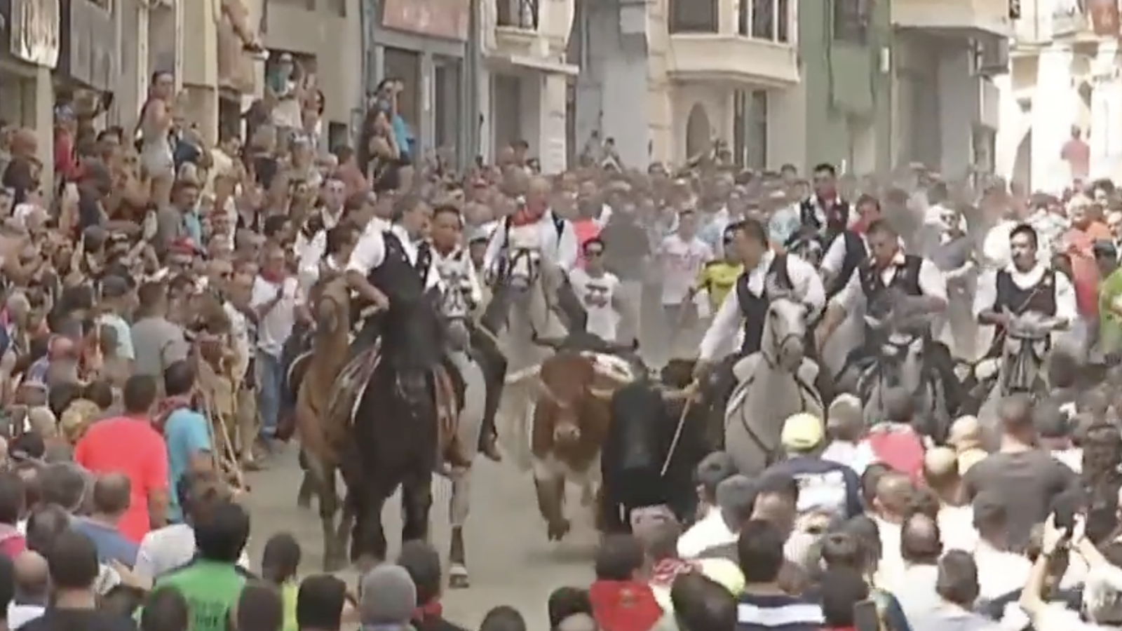 Entrada de bous i cavalls