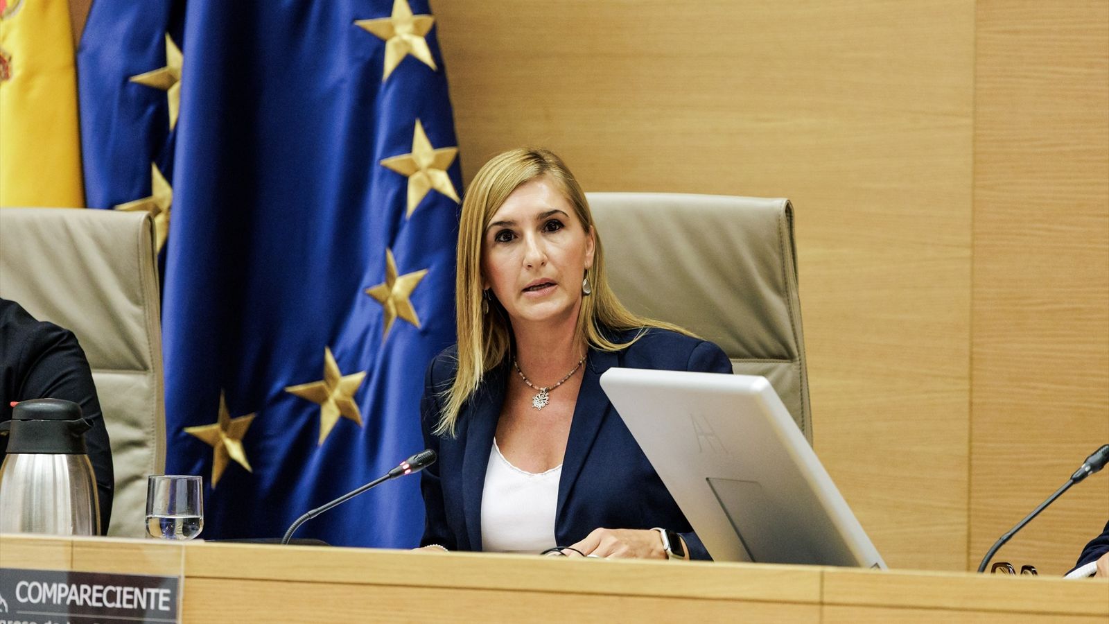 Salomé Pradas durant la seua segona comparixença davant la comissió de la dana al Congrés
