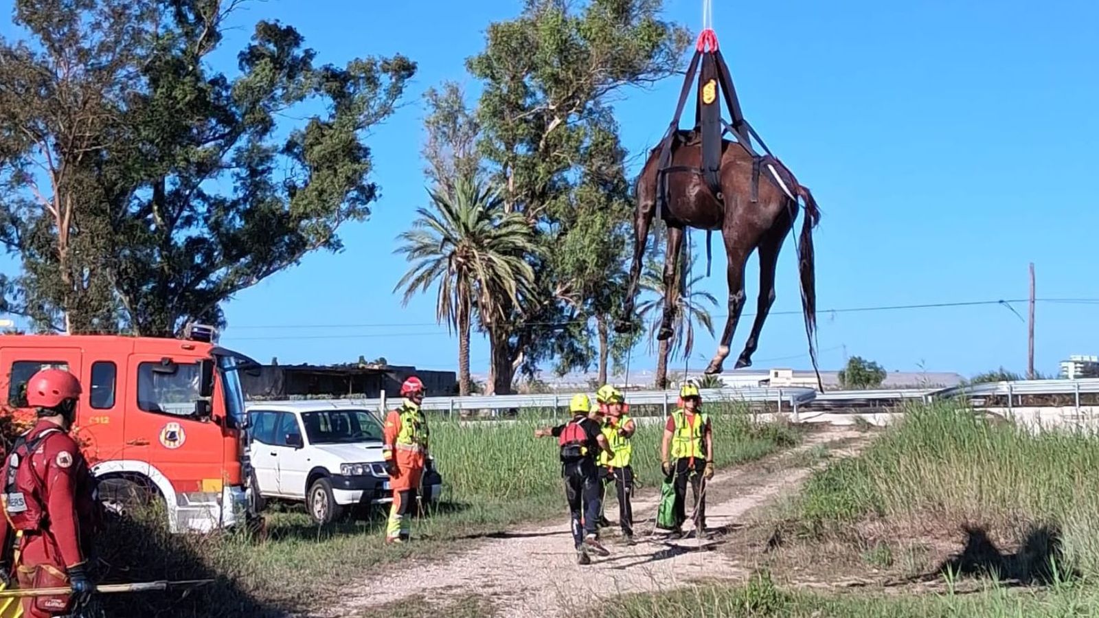Els bombers rescaten un cavall de dins d’un estany a la zona del Brosquil de Cullera