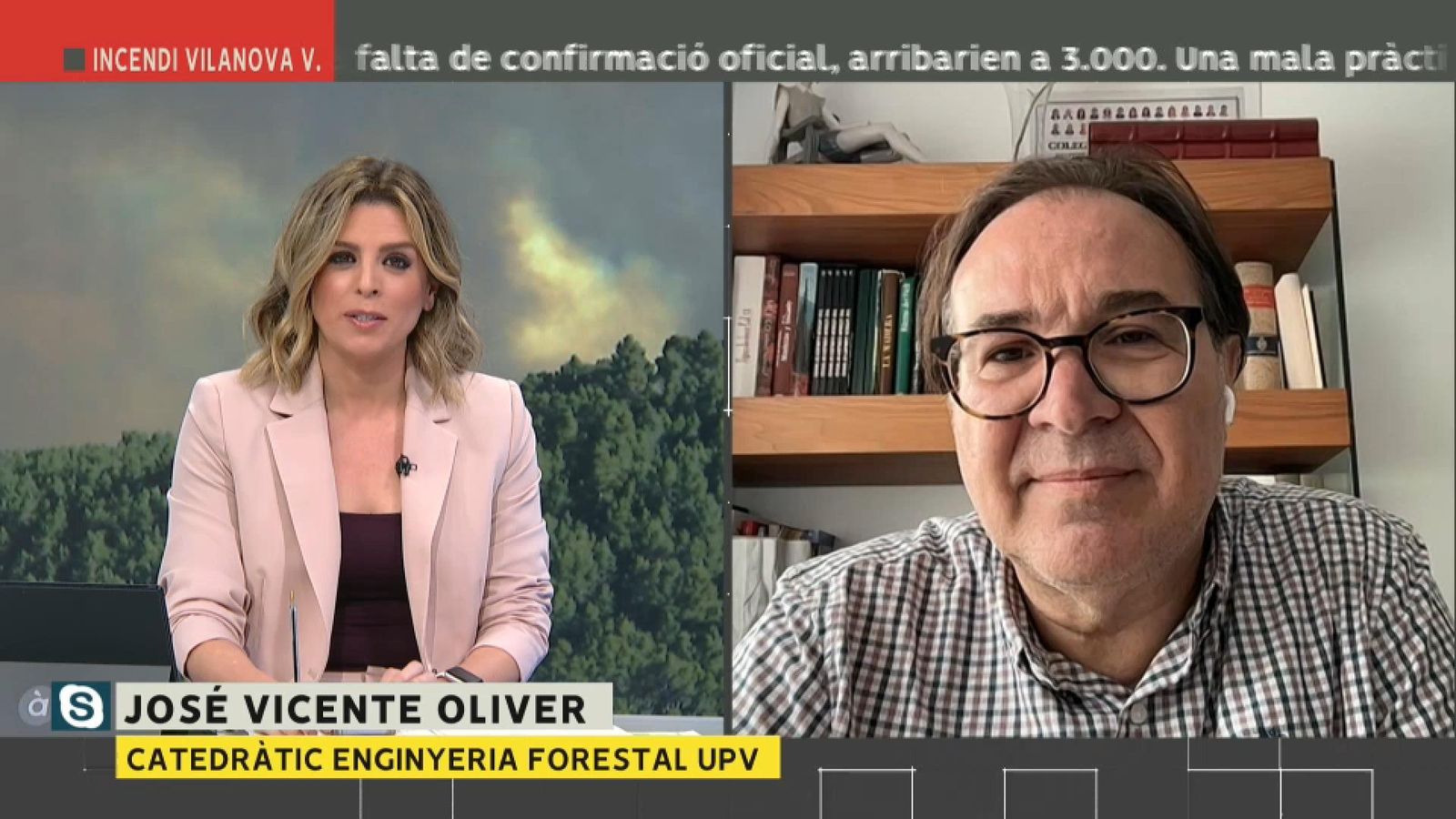 El catedràtic d'Enginyeria Forestal de la UPV José Vicente Oliver