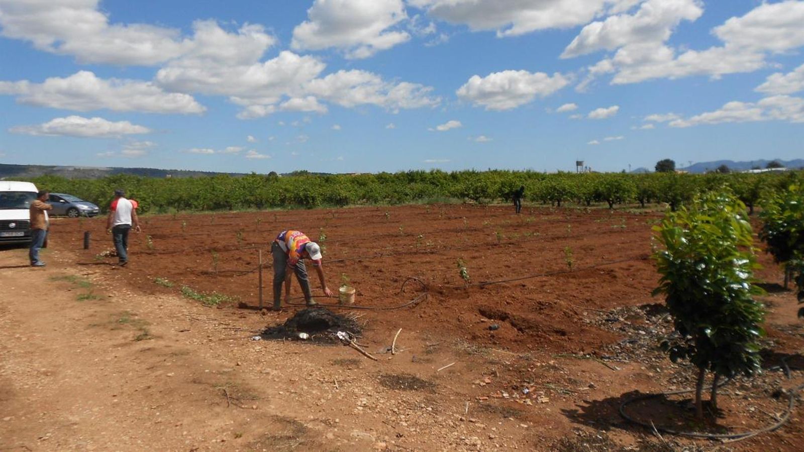 Una plantació agrícola, en una imatge d’arxiu