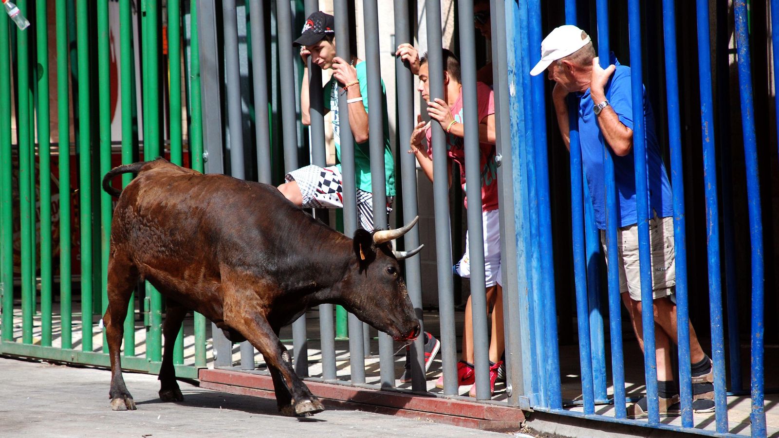 Imatge d'arxiu d'un festeig de bous al carrer en un municipi valencià