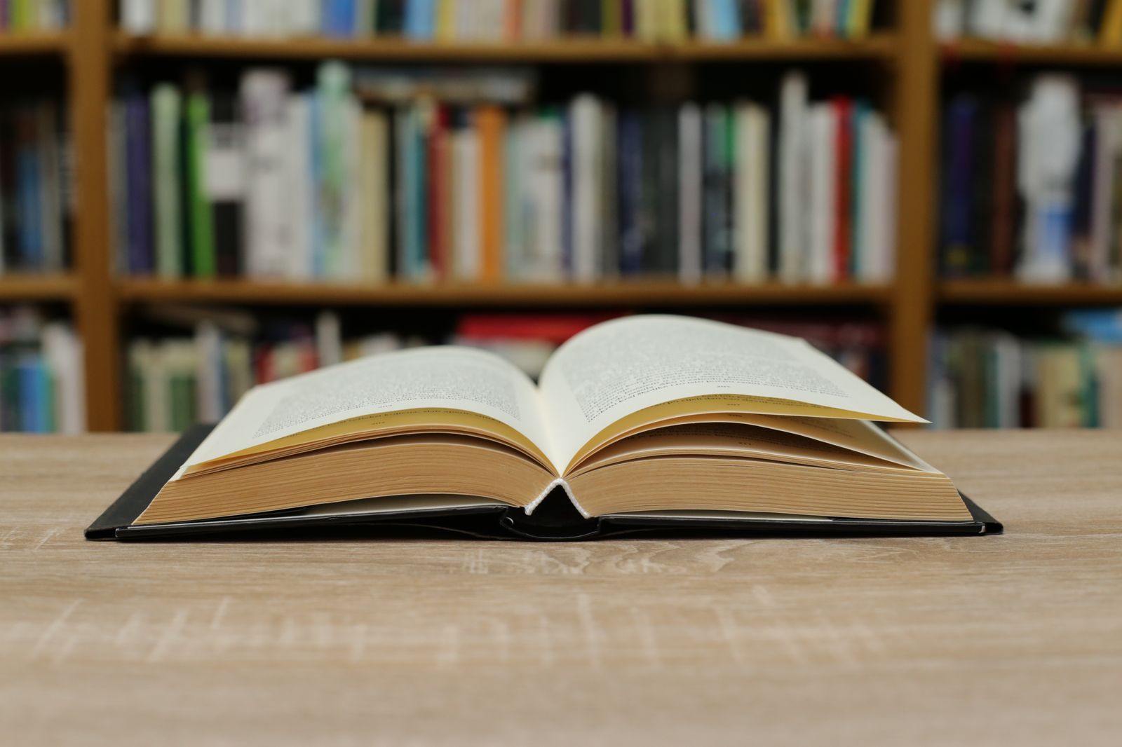19.10.2023 | 'Sense por' i com presentar un manuscrit a les editorials