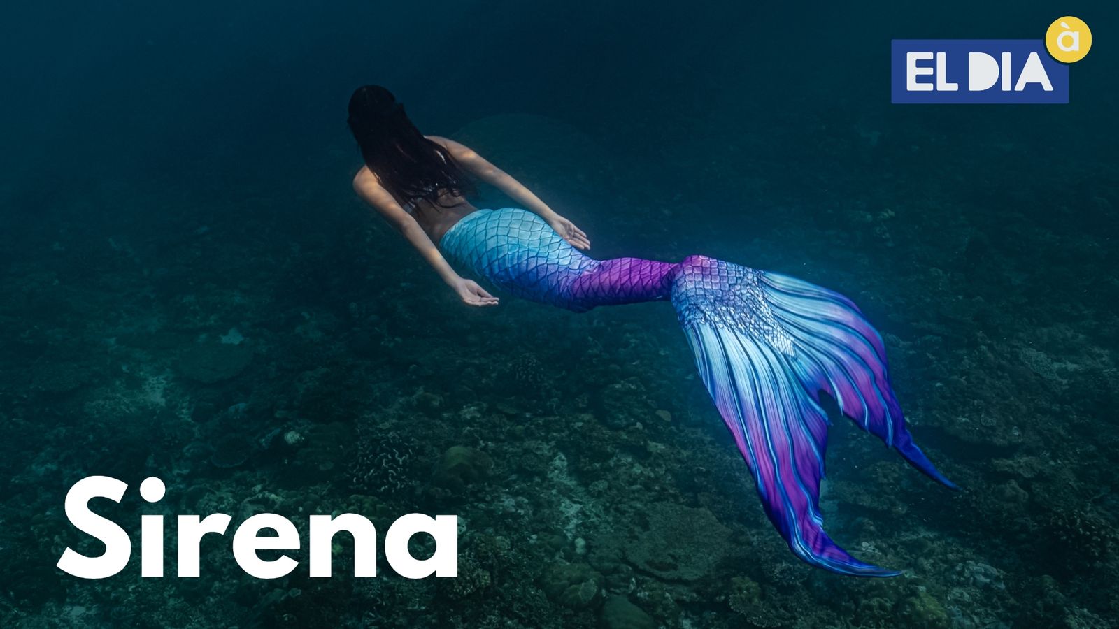 18.06.2021 | 'Sirena'