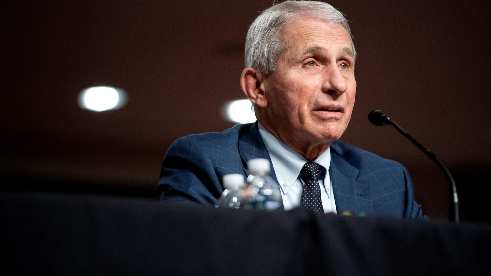 El doctor Anthony Fauci, durant la compareixença en el Senat aquest dimarts