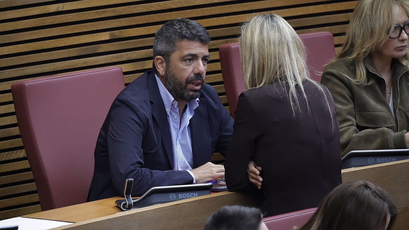 L'expresident de la Generalitat, Carlos Mazón, durant un ple de Les Corts