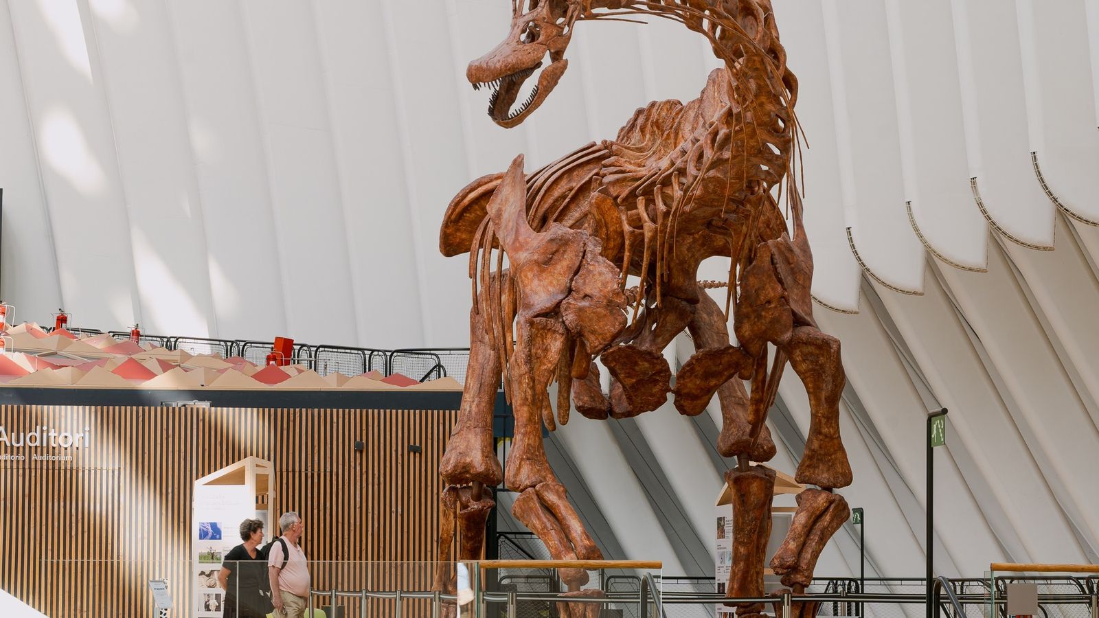 Rèplica en la exposició de dinosaures del Caixafòrum