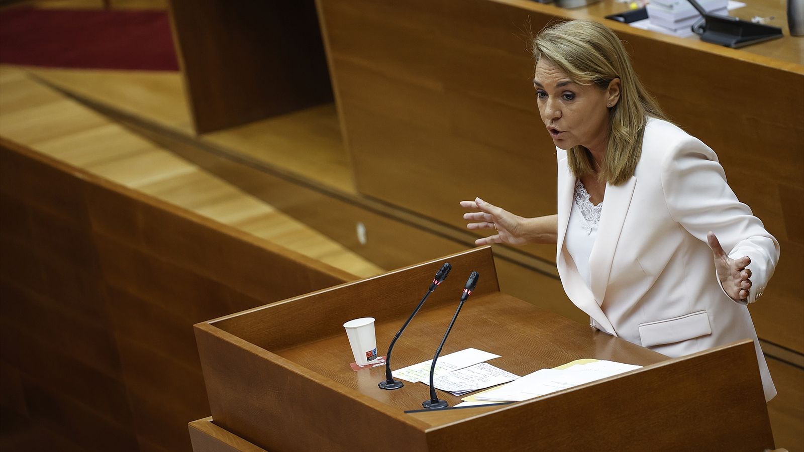 Susana Camarero, aquest dimecres en les Corts