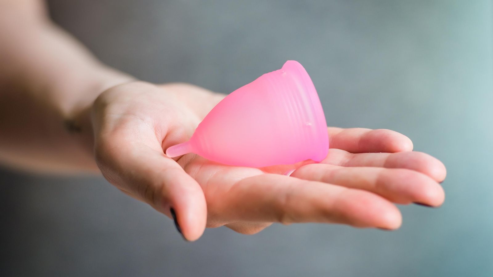 Imatge d'arxiu d'una copa menstrual Imatge d'arxiu d'una copa menstrual