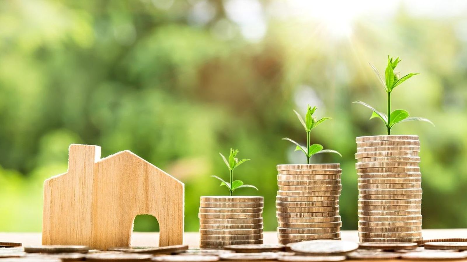 Els actius nets de les famílies i les institucions ha crescut un 5,2% en un any
