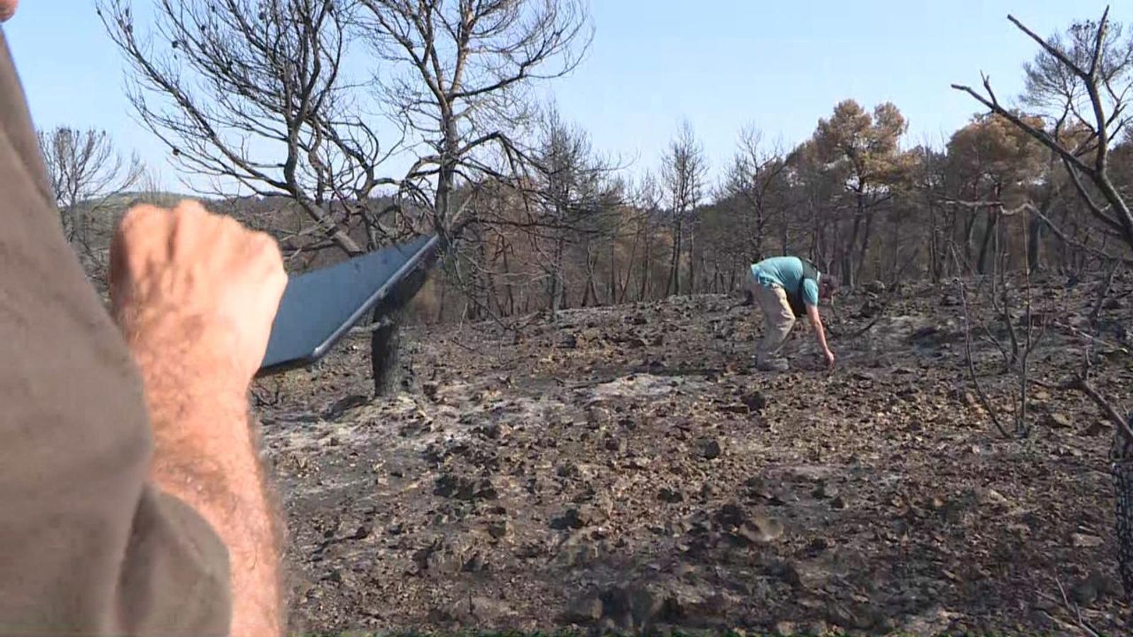 Investigadors del CEAM avaluen la zona cremada de Venta del Moro