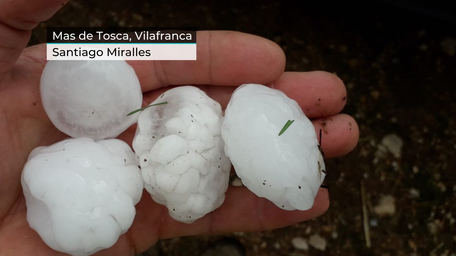 Granís caigut a Mas de Tosca, a Vilafranca