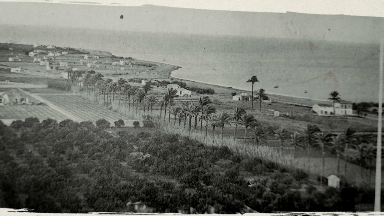 Imatge de Dénia els anys 50