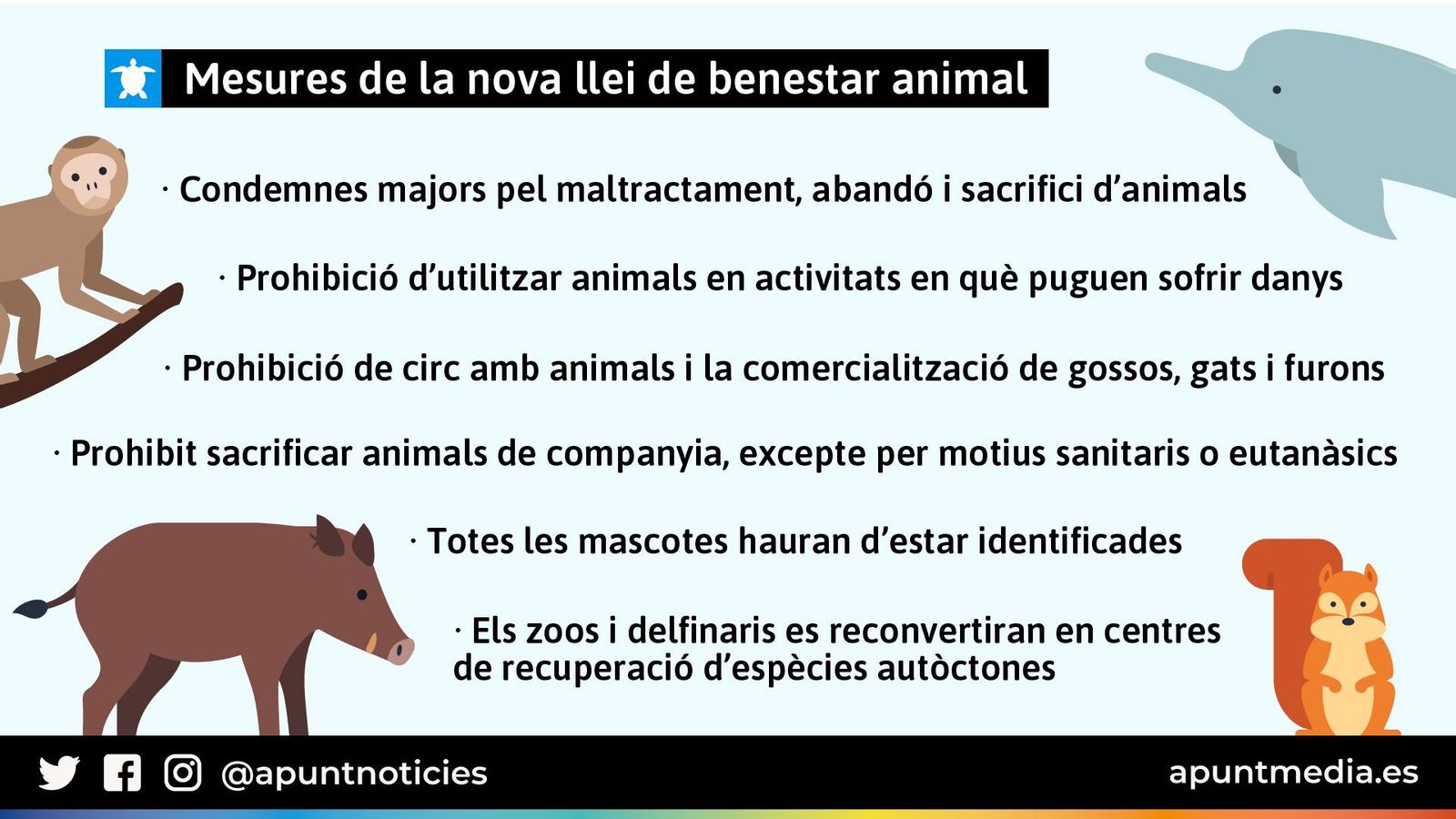 Bo Jove Lloguer