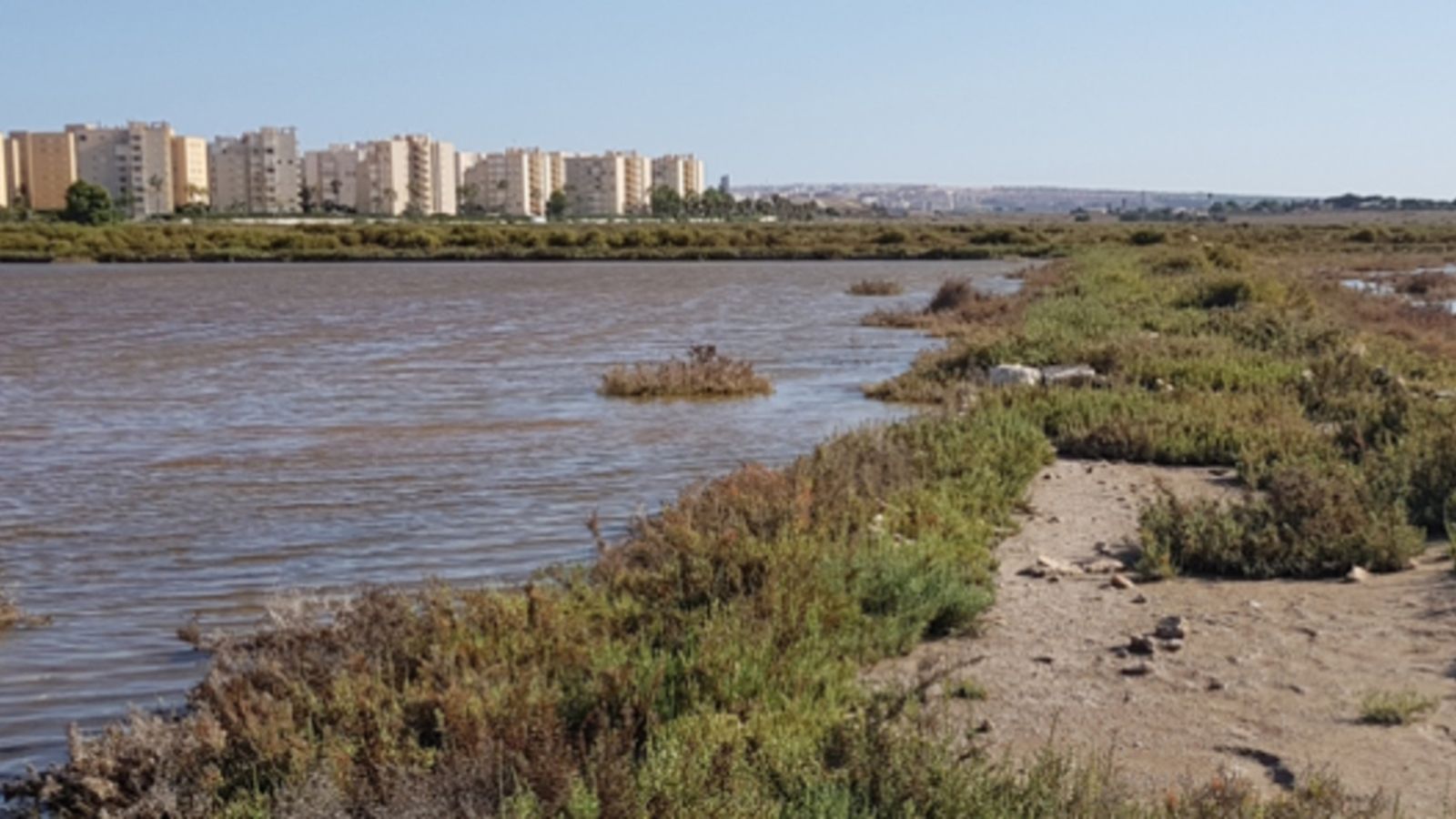 El Saladar d'Aigua Amarga està dins del programa de paisatge del litoral d'Alacant-Elx