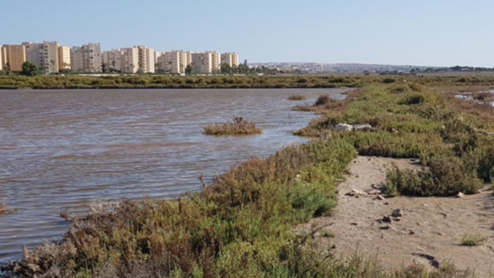 El Saladar d'Aigua Amarga està dins del programa de paisatge del litoral d'Alacant-Elx