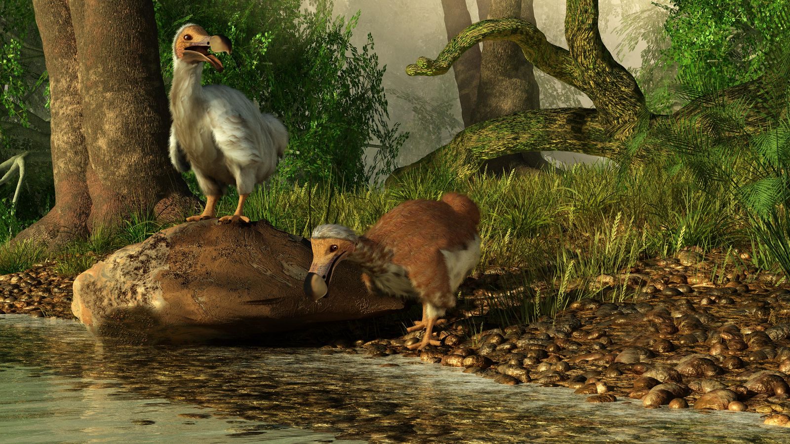 Recreació de dos dodos a la vorera d'un riu