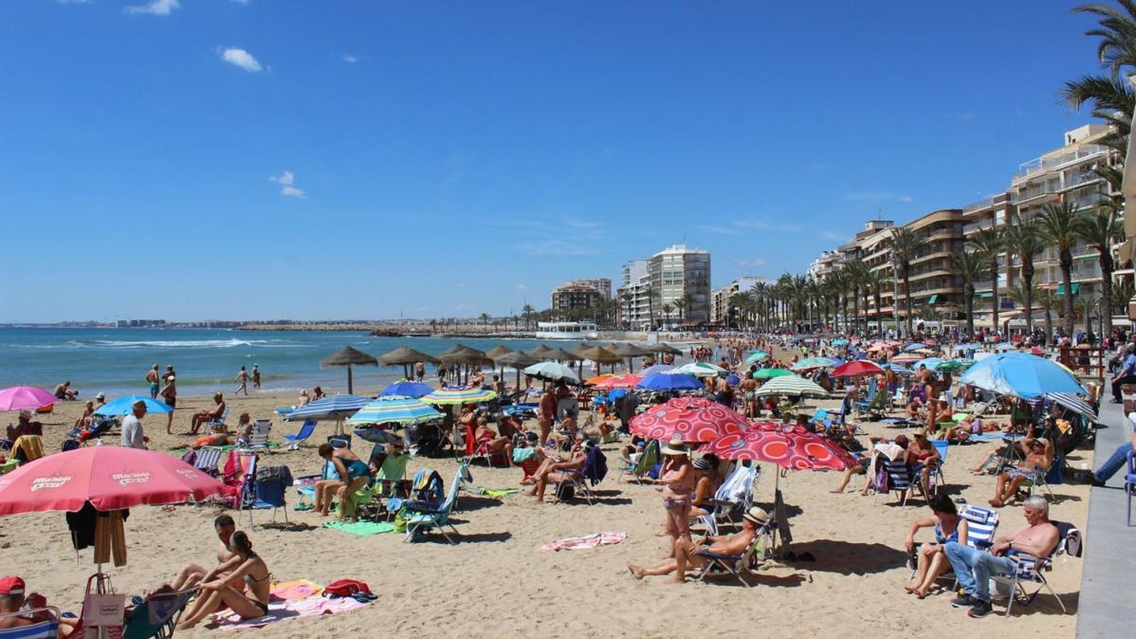 Torrevella, diumenge 15 d'abril