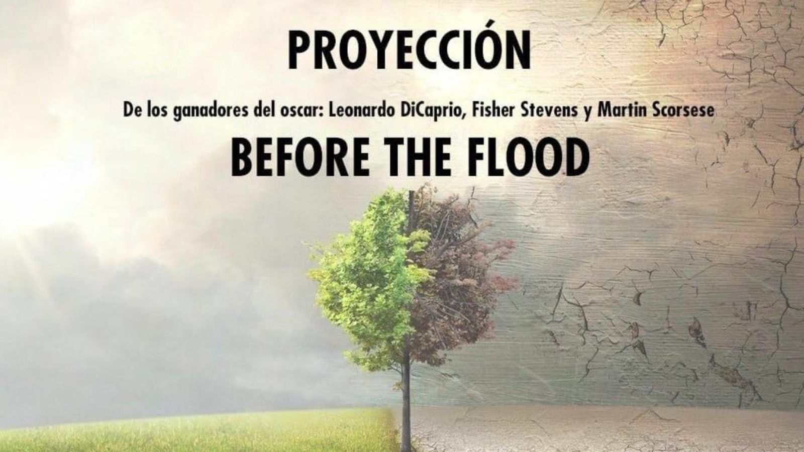 Fridays for Future reivindica la lluita contra el canvi climàtic amb el documental \'Before the flood\'